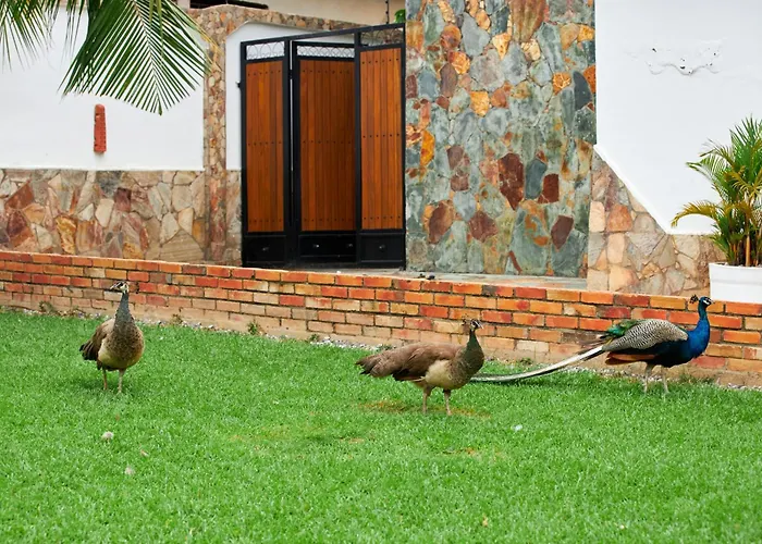 The Haven Boutique Hotel
